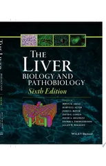 The Liver