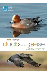 RSPB Spotlight Ducks and Geese