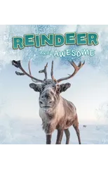 Reindeer Are Awesome