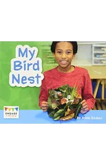 My Bird Nest