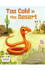 Too Cold in the Desert