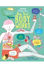 Lift-the-Flap How Your Body Works