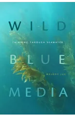 Wild Blue Media