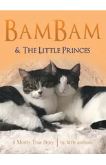 Bambam & the Little Princes