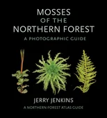 Mosses of the Northern Forest