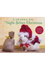 A Guinea Pig Night Before Christmas