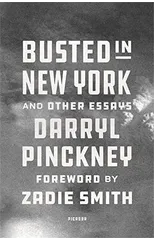 Busted in New York & Other Essays