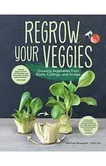 Regrow Your Veggies