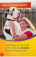 Great Danes