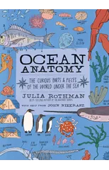 Ocean Anatomy