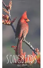 Songbirds 2021 Diary