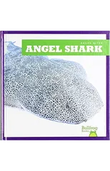 Angel Shark