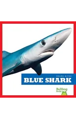 Blue Shark
