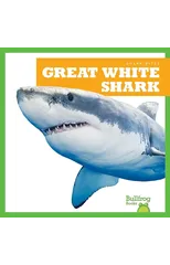 Great White Shark