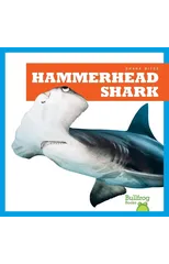 Hammerhead Shark