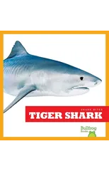 Tiger Shark