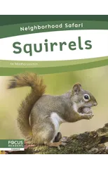 Squirrels