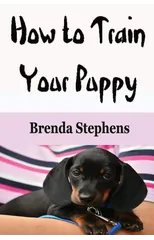 How to Train Your Puppy