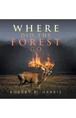 Where Did the Forest Go
