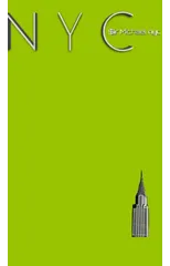 NYC Chrysler building chartruce grid style page notepad Michael Limited edition