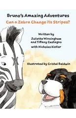 Can a Zebra Change its Stripes?