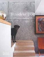 Resident Dog (compact)
