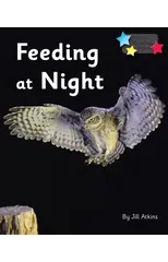Feeding at Night