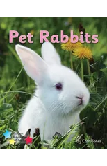 Pet Rabbits