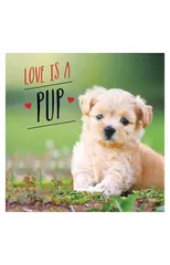 Love is a Pup