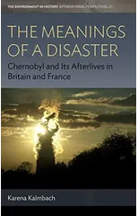 The Meanings of a Disaster