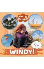 It's Windy!
