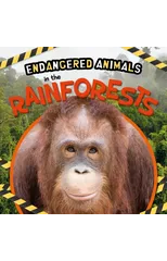 In the Rainforests