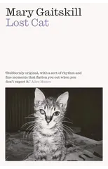 Lost Cat