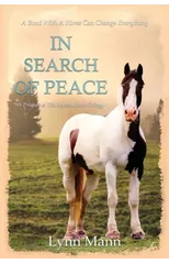 In Search Of Peace