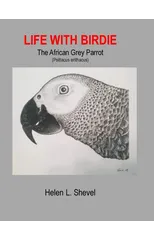 Life with Birdie, The African Grey Parrot