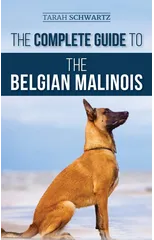 The Complete Guide to the Belgian Malinois
