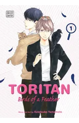 Toritan