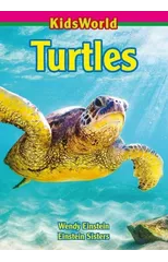 Turtles