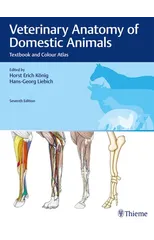 Veterinary Anatomy of Domestic Animals