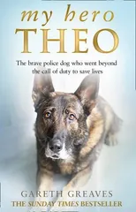 My Hero Theo