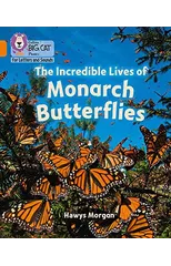 The Incredible Lives of Monarch Butterflies