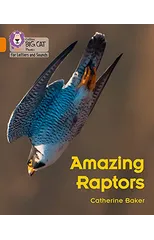Amazing Raptors
