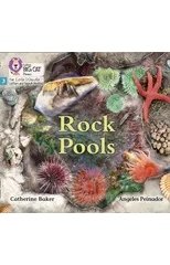 Rock Pools