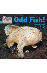 Odd Fish!