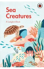 A Ladybird Book