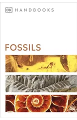 Fossils
