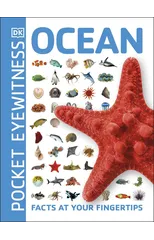 Ocean