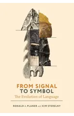 From Signal to Symbol