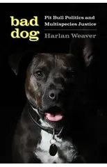 Bad Dog