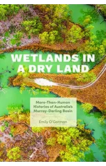 Wetlands in a Dry Land